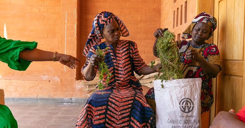 Grantees inspire reporting: Global Health Security Call - Vimarsana News